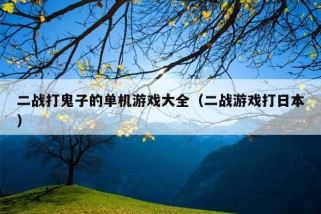 二战打鬼子的单机游戏大全（二战游戏打日本）