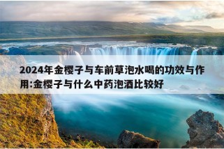 2024年金樱子与车前草泡水喝的功效与作用:金樱子与什么中药泡酒比较好