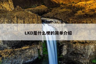 LKD是什么梗的简单介绍