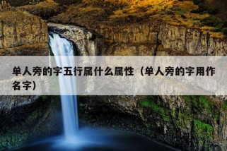 单人旁的字五行属什么属性（单人旁的字用作名字）