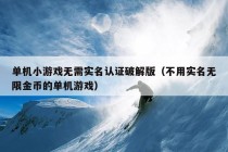 单机小游戏无需实名认证破解版（不用实名无限金币的单机游戏）