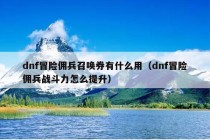 dnf冒险佣兵召唤券有什么用（dnf冒险佣兵战斗力怎么提升）