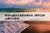 数学log是什么意思代表什么（数学上的log是什么意思）