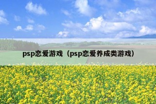 psp恋爱游戏（psp恋爱养成类游戏）