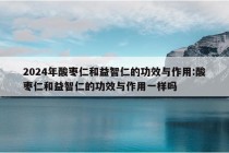 2024年酸枣仁和益智仁的功效与作用:酸枣仁和益智仁的功效与作用一样吗