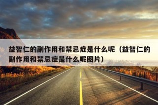 益智仁的副作用和禁忌症是什么呢（益智仁的副作用和禁忌症是什么呢图片）