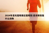 2024年目光是敏捷还是敏锐:目光敏锐指什么动物