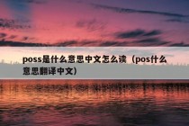 poss是什么意思中文怎么读（pos什么意思翻译中文）