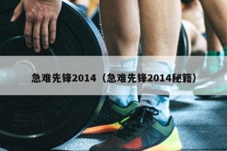 急难先锋2014（急难先锋2014秘籍）