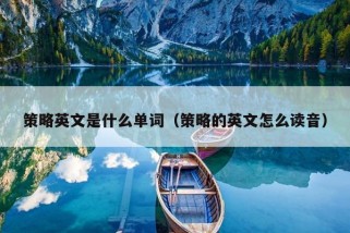 策略英文是什么单词（策略的英文怎么读音）