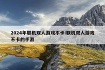 2024年联机双人游戏不卡:联机双人游戏不卡的手游