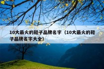 10大最火的鞋子品牌名字（10大最火的鞋子品牌名字大全）