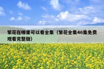 繁花在哪里可以看全集（繁花全集46集免费观看完整版）