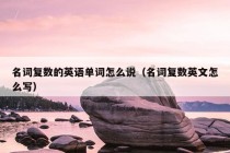 名词复数的英语单词怎么说（名词复数英文怎么写）