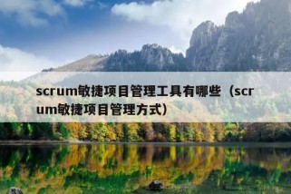 scrum敏捷项目管理工具有哪些（scrum敏捷项目管理方式）