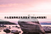 什么是复数概念及其定义（什么叫做复数）