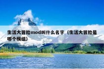 生活大冒险mod叫什么名字（生活大冒险是哪个模组）