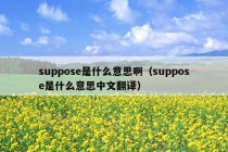 suppose是什么意思啊（suppose是什么意思中文翻译）