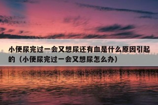 小便尿完过一会又想尿还有血是什么原因引起的（小便尿完过一会又想尿怎么办）