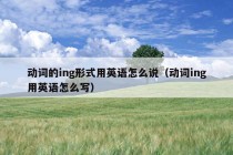 动词的ing形式用英语怎么说（动词ing用英语怎么写）