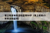 掌上综素体育活动篮球50字（掌上综素c5体育活动篮球）