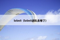 lolm5（lolm5战队去哪了）