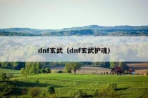 dnf玄武（dnf玄武护魂）