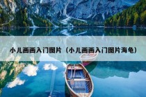 小儿画画入门图片（小儿画画入门图片海龟）