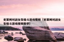 史莱姆对战女生格斗游戏视频（史莱姆对战女生格斗游戏视频教学）