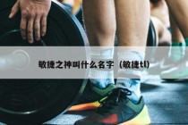 敏捷之神叫什么名字（敏捷tl）