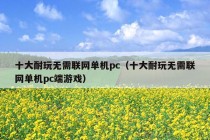 十大耐玩无需联网单机pc（十大耐玩无需联网单机pc端游戏）