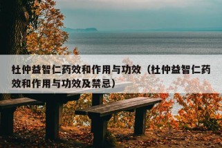 杜仲益智仁药效和作用与功效（杜仲益智仁药效和作用与功效及禁忌）