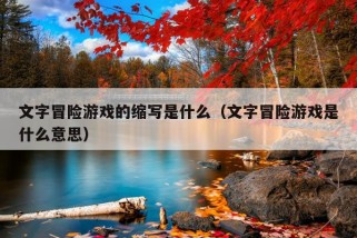 文字冒险游戏的缩写是什么（文字冒险游戏是什么意思）