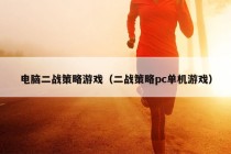 电脑二战策略游戏（二战策略pc单机游戏）