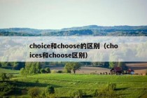 choice和choose的区别（choices和choose区别）