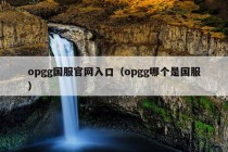 opgg国服官网入口（opgg哪个是国服）