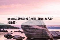 ps5双人恐怖游戏在哪玩（ps5 双人游戏推荐）