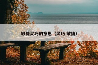 敏捷灵巧的意思（灵巧 敏捷）