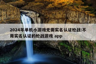 2024年单机小游戏无需实名认证枪战:不用实名认证的枪战游戏 app