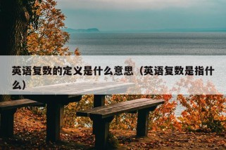 英语复数的定义是什么意思（英语复数是指什么）