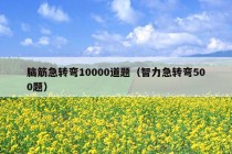 脑筋急转弯10000道题（智力急转弯500题）