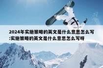 2024年实施策略的英文是什么意思怎么写:实施策略的英文是什么意思怎么写呀