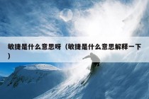 敏捷是什么意思呀（敏捷是什么意思解释一下）