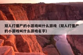 双人打僵尸的小游戏叫什么游戏（双人打僵尸的小游戏叫什么游戏名字）