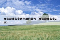 女生游戏名字两字简约霸气（女生游戏名字2字）