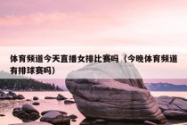 体育频道今天直播女排比赛吗（今晚体育频道有排球赛吗）