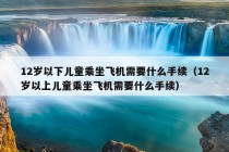 12岁以下儿童乘坐飞机需要什么手续（12岁以上儿童乘坐飞机需要什么手续）