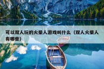 可以双人玩的火柴人游戏叫什么（双人火柴人有哪些）