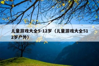 儿童游戏大全5-12岁（儿童游戏大全512岁户外）