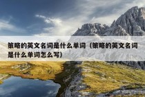 策略的英文名词是什么单词（策略的英文名词是什么单词怎么写）